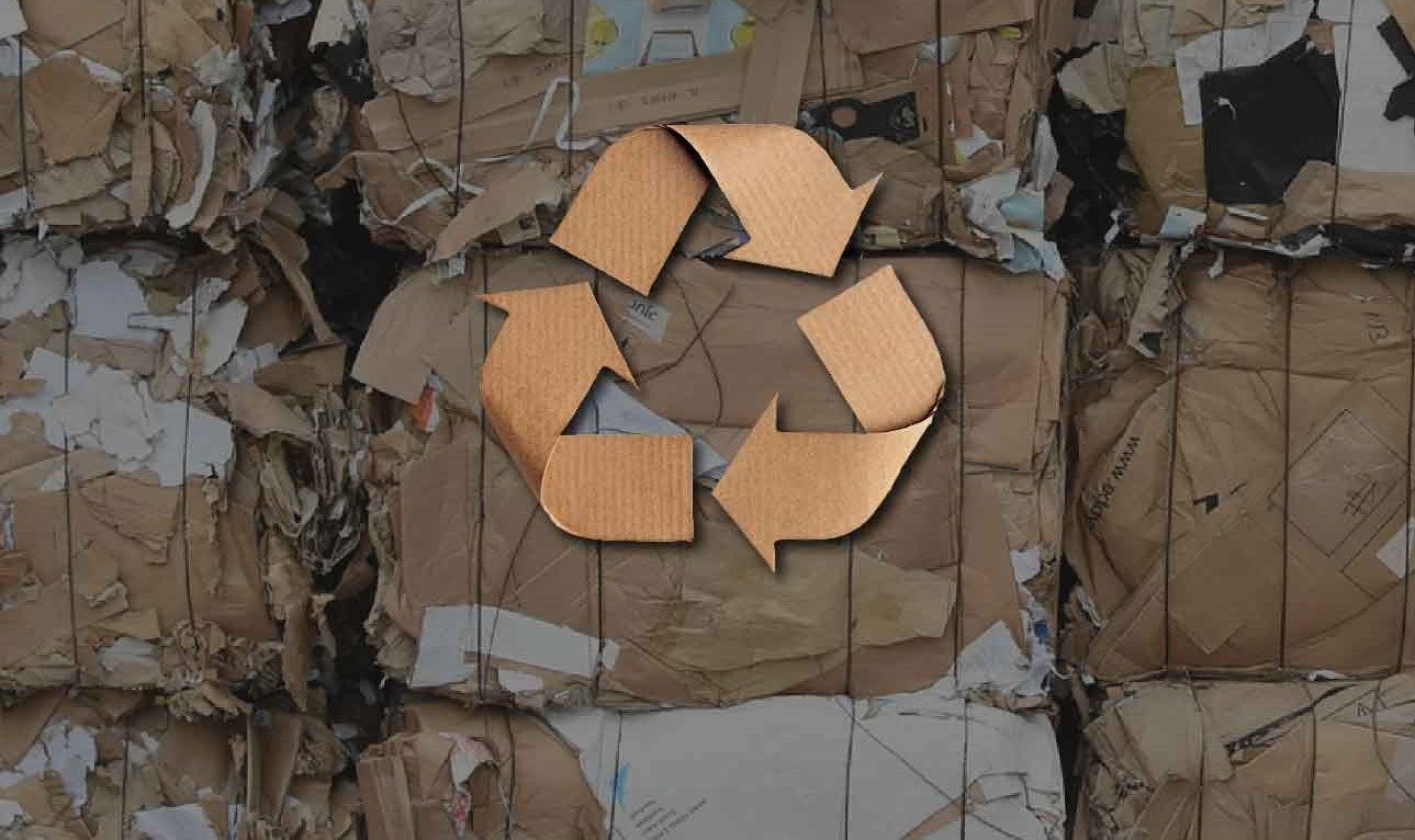 Papel y Carton